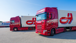 20260321-Daemen-00646